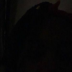 Meet your Posher, Jackie